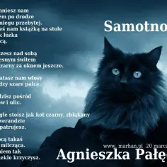 Samotność wiersz - analiza poezji o osamotnieniu i jej emocjach